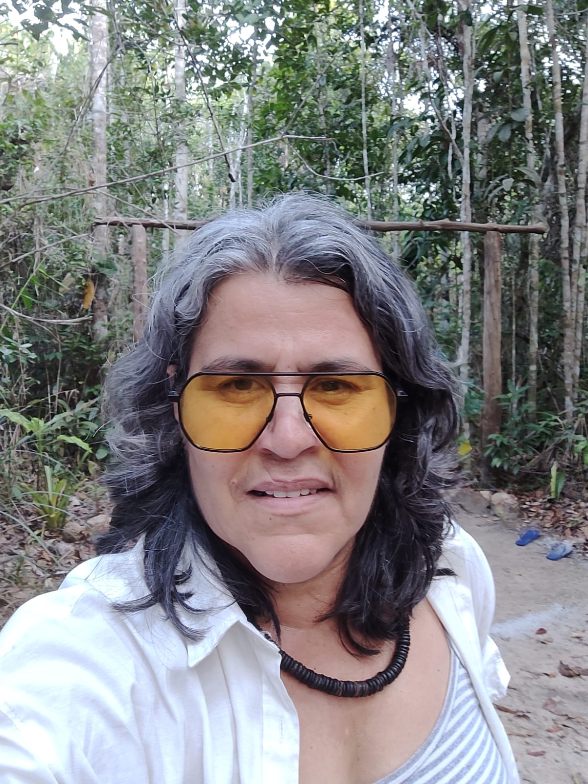 ELEIÇÕES